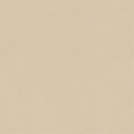 Carrelage en céramique sol et mur | 120x120 cm | Natural Blend Wheat