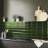 Carreaux muraux en céramique | 10x20 cm | Biseauté Green